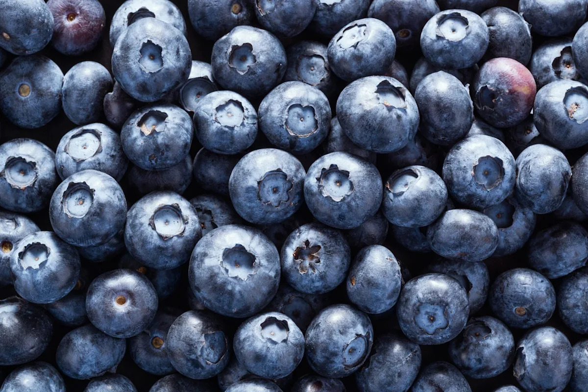 Don't Wash Yet! Avoid Mold & Store Blueberries for Longer